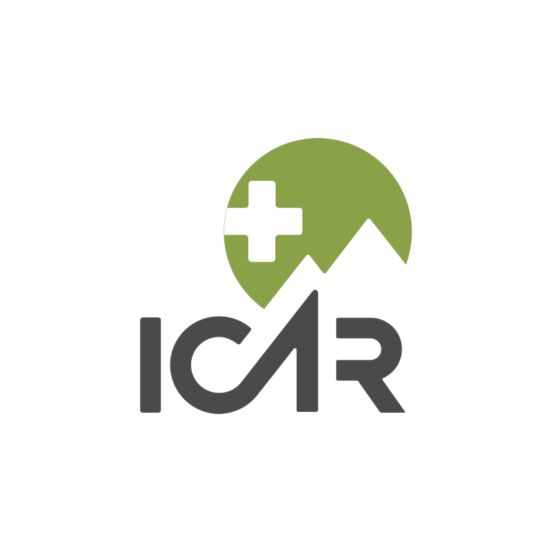 Logotyp: Partner 11